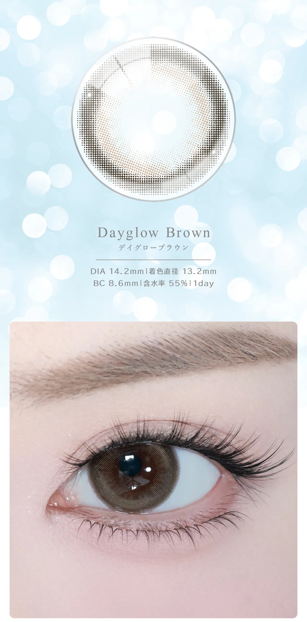 Dayglow Brown デイグローブラウン DIA 14.2mm | 着色直径 13.2mm BC 8.6mm | 含水率 55% | 1day