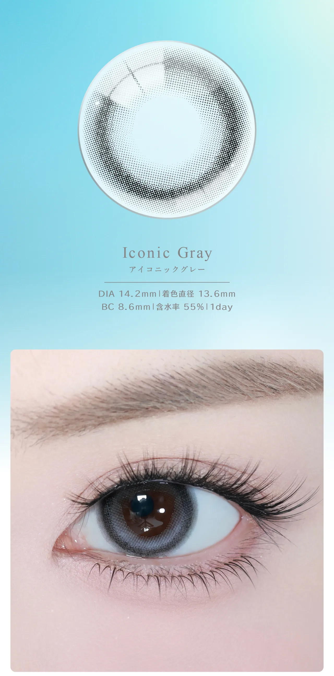 Iconic Gray アイコニックグレー DIA 14.2mm | 着色直径 13.6mm BC 8.6mm | 含水率 55% | 1day