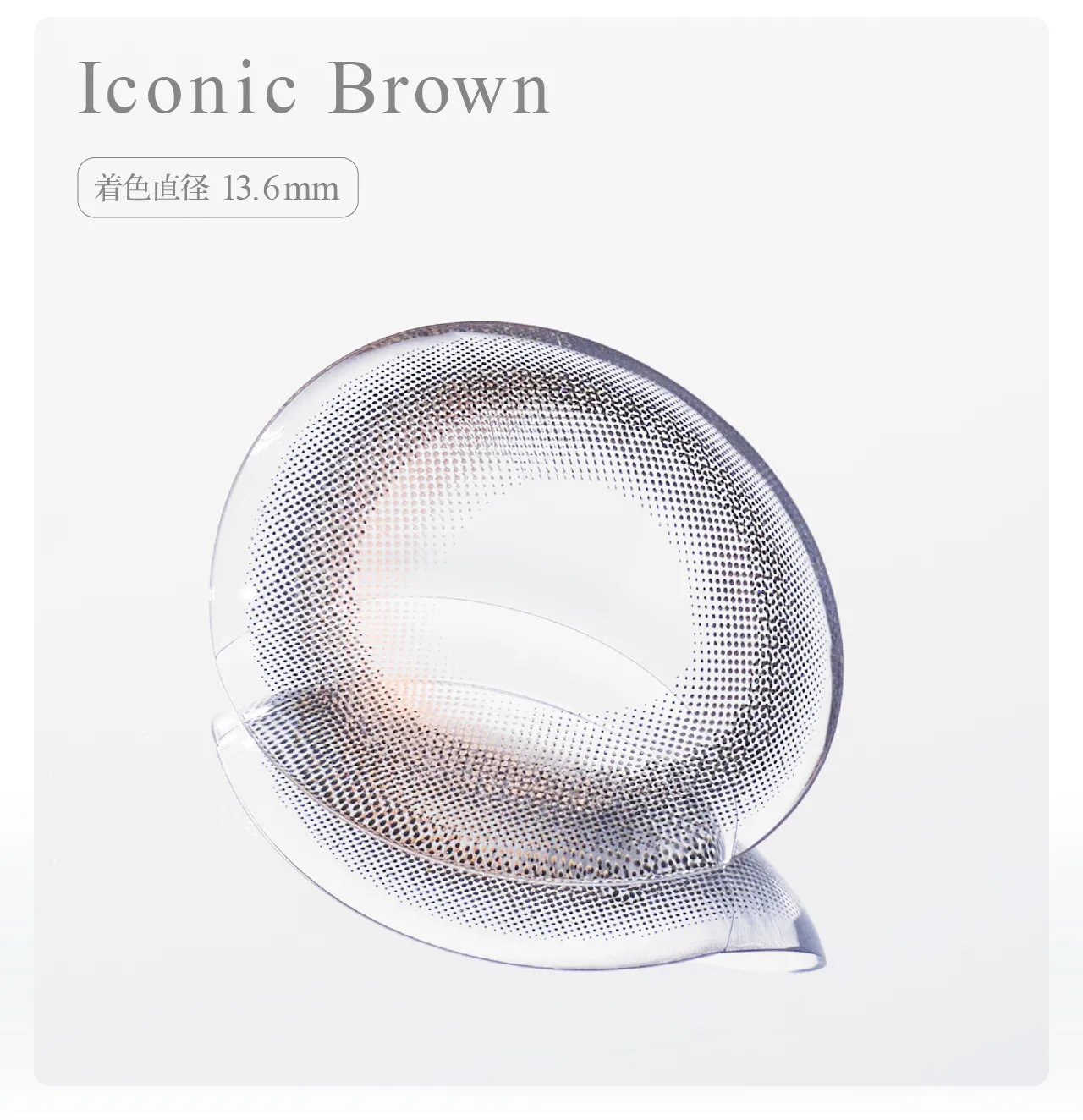 Iconic Brown 着色直径 13.6mm